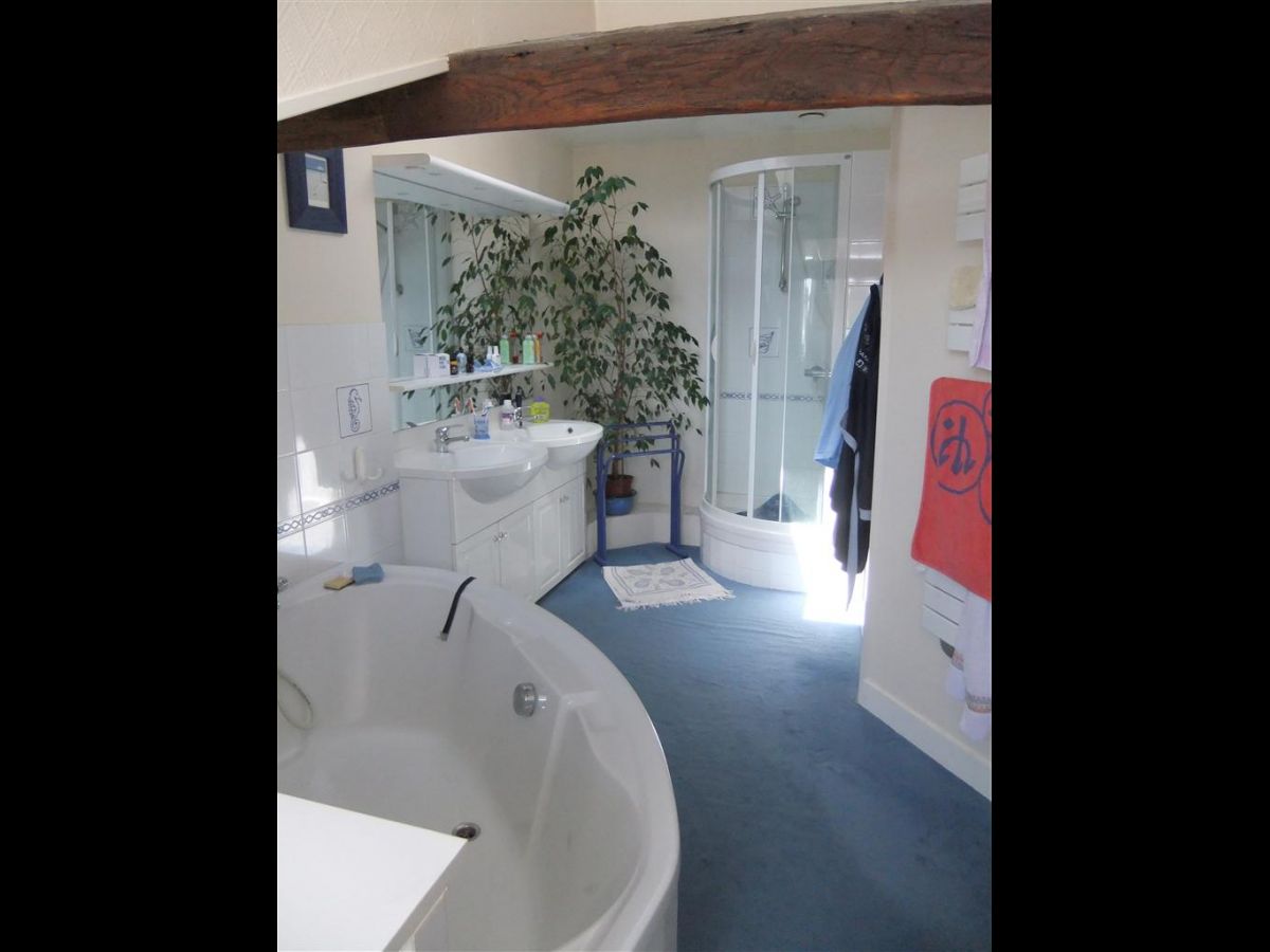 Belles demeures, local commercial ou professionnel, maisons ...