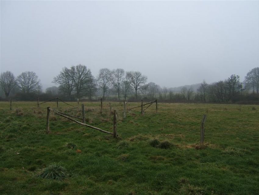 immobilier Sarthe (72):Propriété rurale boisée - Région du Mans