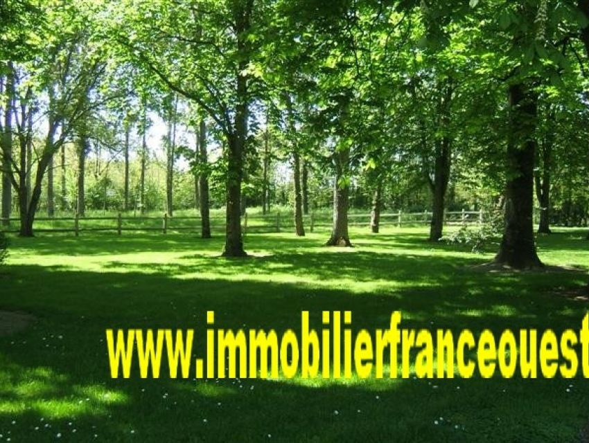 immobilier Sarthe (72):8. Peupleraie et prairies