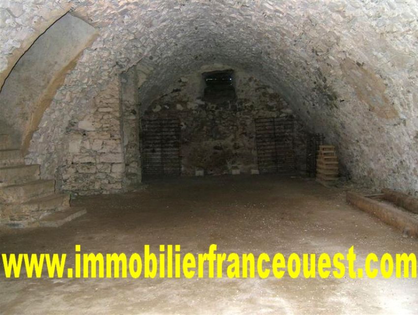 immobilier Sarthe (72):8. Vaste cave voûtée.
