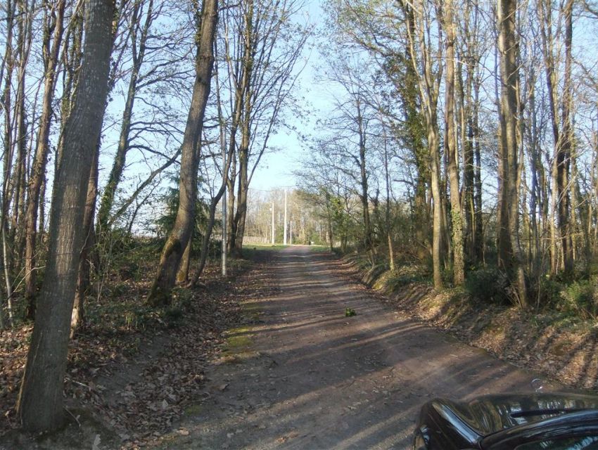 immobilier Sarthe (72):9. Accès boisé