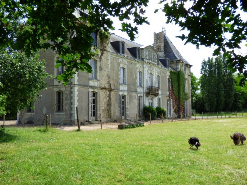 Château à restaurer, chapelle,  dépendances XVIIIème,  grande ferme attenante,  Mayenne Angevine