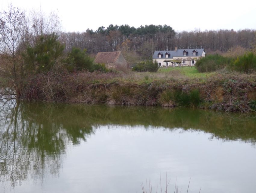 propriete en Sarthe - domaine rural - maison d'habitation et de loisirs avec étang et bois