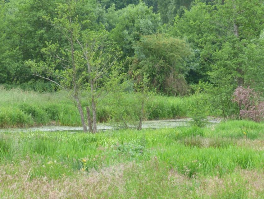 Ferme - Longère - Sablé sur Sarthe - Etang poissonneux sur la propriété - prairies en bord de rivière 'Sarthe'