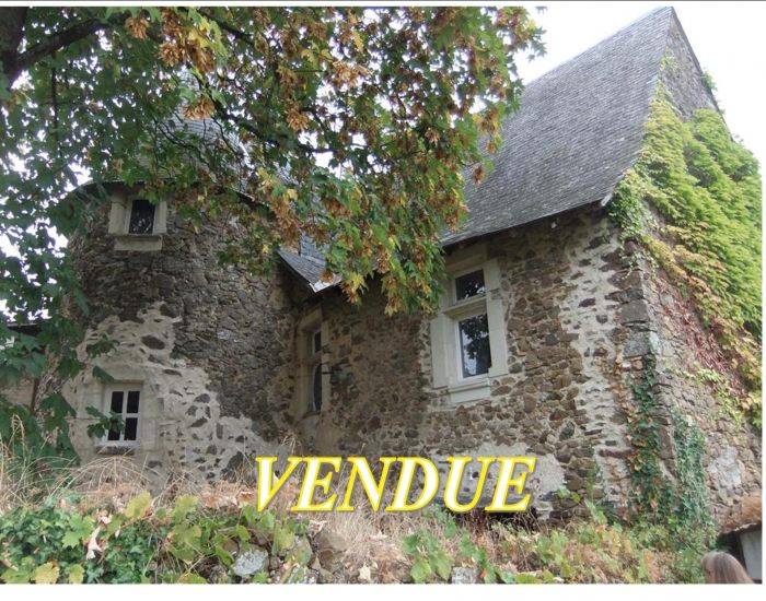 authentique-propriete-de-caractere-saint-denis-d-anjou
