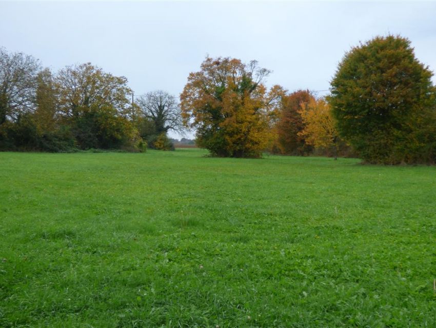 Propriété campagne Haut-Anjou - 