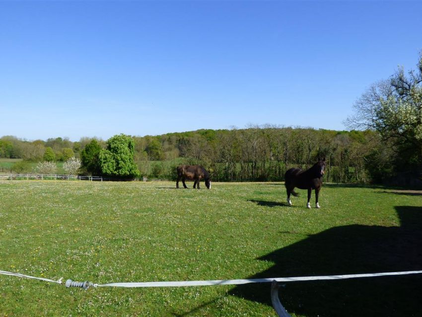 Propriété ideale pour  chevaux - paddock-prairies-ecuries-etang-bois ....