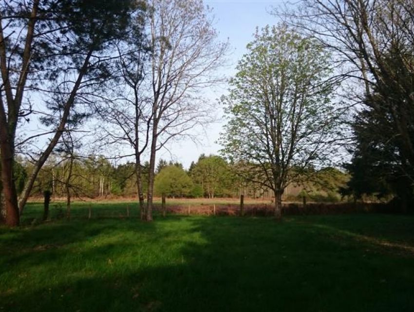 propriete de loisirs en Sarthe : chasse, pêche, nature, 