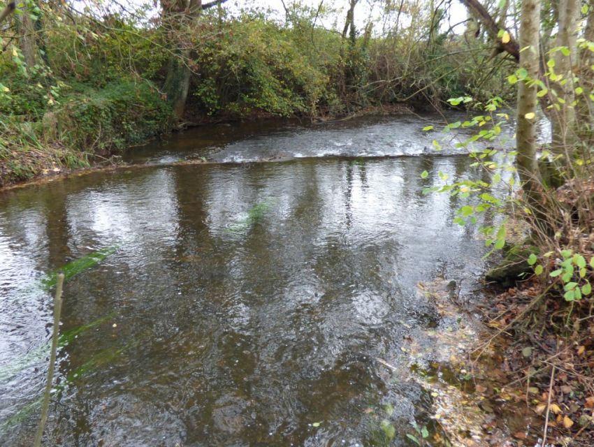 propriété en bord de riviere - Sarthe - bocage sabolien