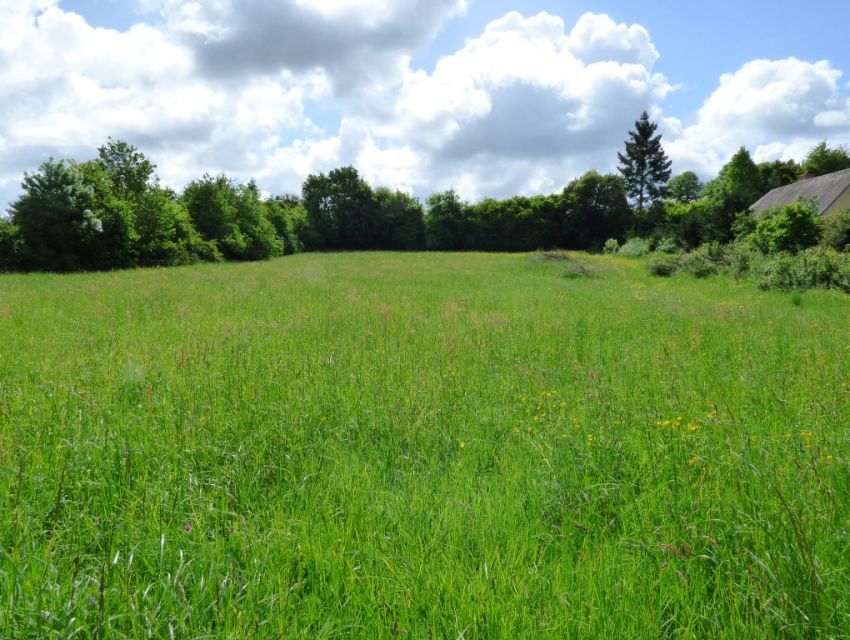 terrain-constructible-en-campagne-secteur-sable-sur-sarthe-72300