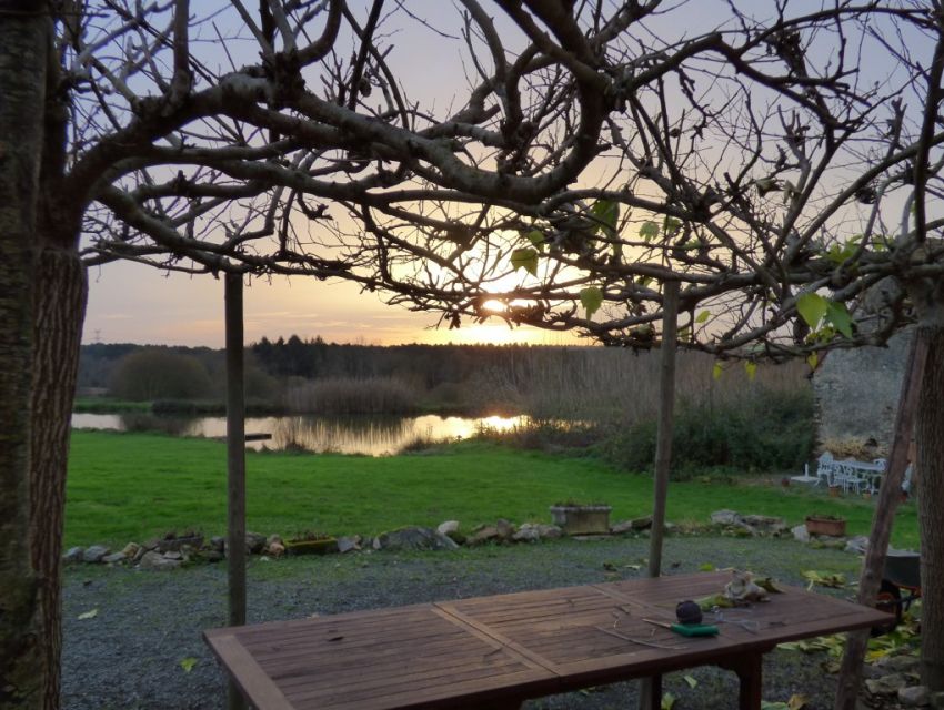 etang et bois sur la propriete - region le Mans