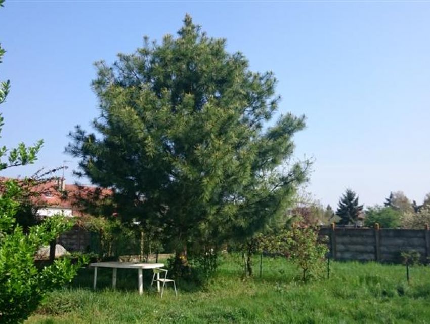 Location en Sarthe (72) - Malicorne sur Sarthe (72270) - Pavillon 3 pièces principales 
