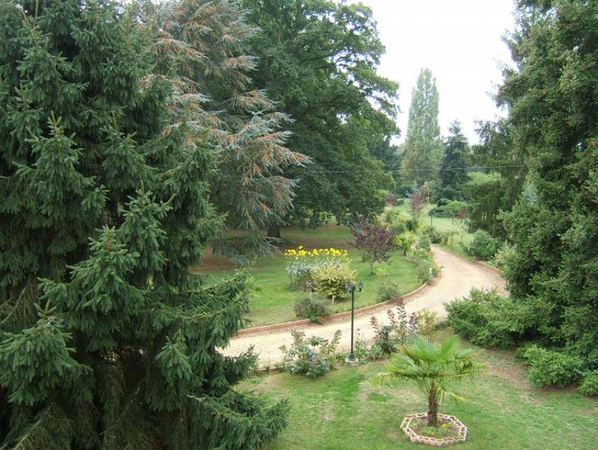 allée d'accès sécurisée dans le parc et vue sur le jardin boisé