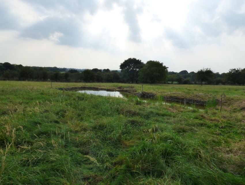 prairie avec vue dominante et pièce d'eau avec murets de pierre