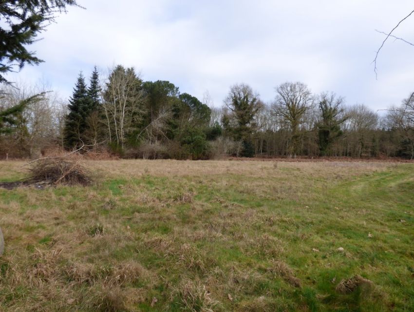 Propriété campagnarde en Sarthe (72) - Pays de la Loire - Région Sablé sur Sarthe (72300) 