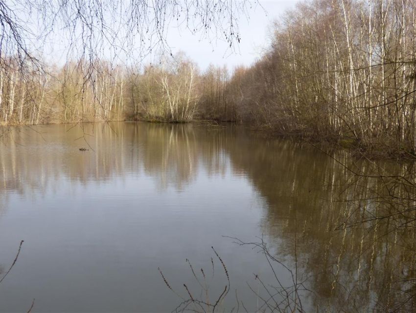 terrain de loisirs - nature - chasse - peche - bois - etang