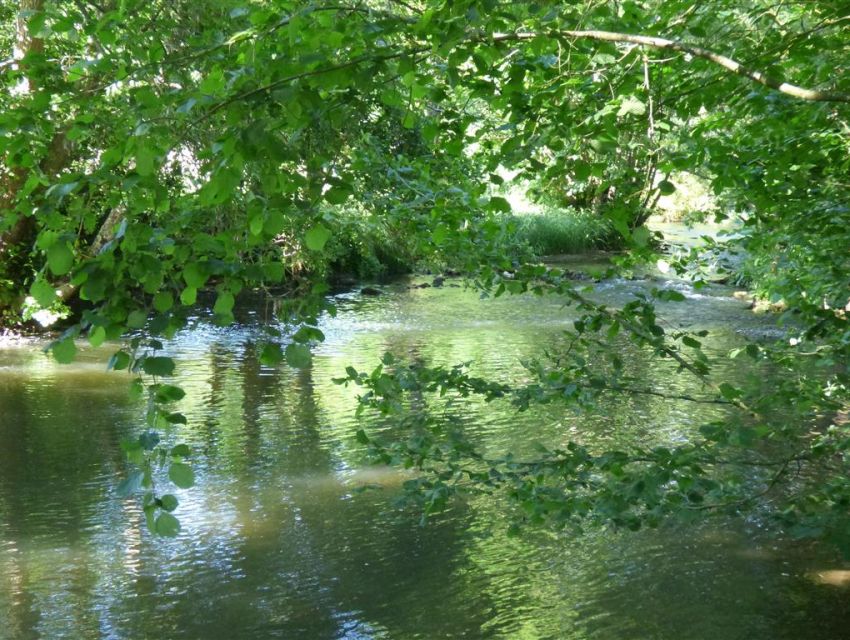 Affluent de la Sarthe : la riviere la Vegre