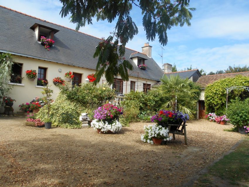 Propriété en campagne avec prairies, dépendances, carrière, boxes, chenils...Malicorne sur Sarthe