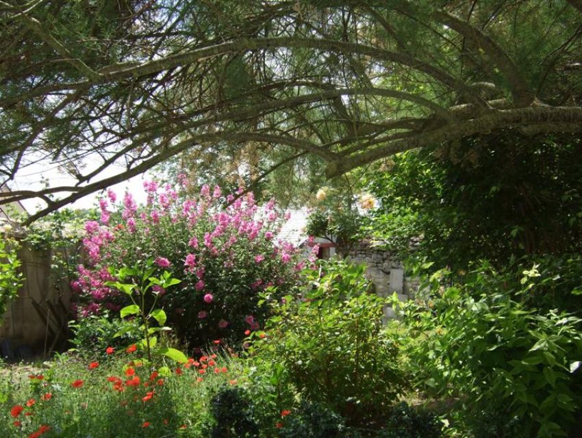 maison de caractère en Anjou (Maine et Loire) jardin fleuri.