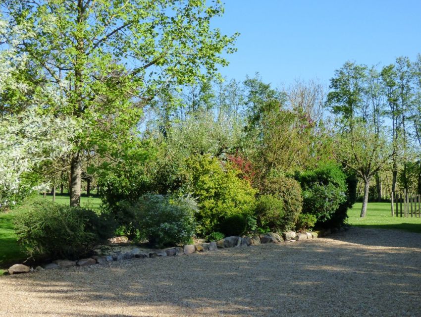 Domaine forestier - Sarthe (72) - Parc et prairie en lisière de bois.