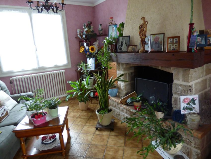 Région Sabé-sur-Sarthe pavillon sur sous-sol sejour avec cheminée jardin