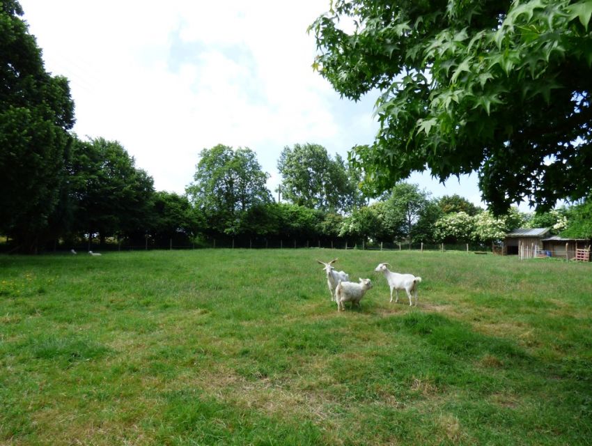 Petite propriété région la Suze sur Sarthe - 30 minutes le Mans.