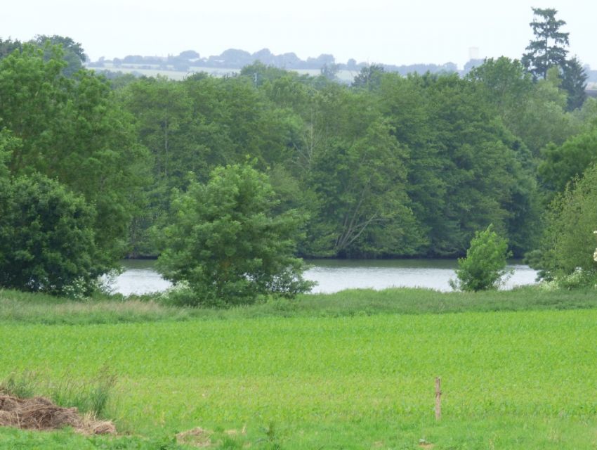 corps de ferme - longère - sable sur sarthe - avec etang et prairies bordant la rivière 