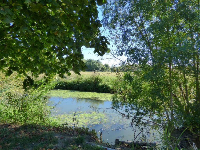 Propriété villageoise en bord de rivière Morannes Anjou Maison restaurée avec jardin et garage