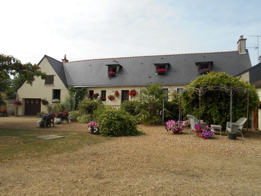 Propriété de campagne Malicorne sur Sarthe Longère avec chambres d'hotes, boxes et prairies (8ha), chenils, dépendances...