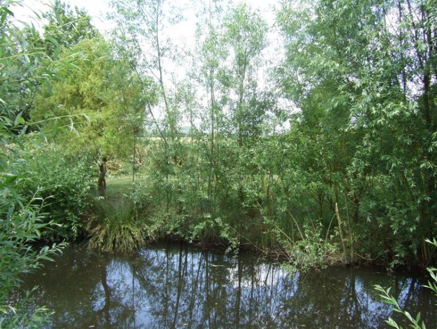 propriété de caractère en Anjou - jardin avec petite pièce d'eau.