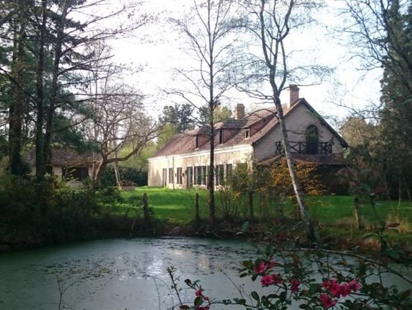 15 minutes de Sablé sur Sarthe (72300) - Propriété forestière avec étang. Domaine de chasse attenant avec bois et prairies