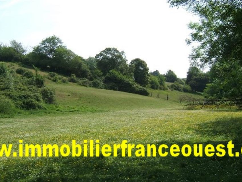 immobilier Sarthe (72):14.
