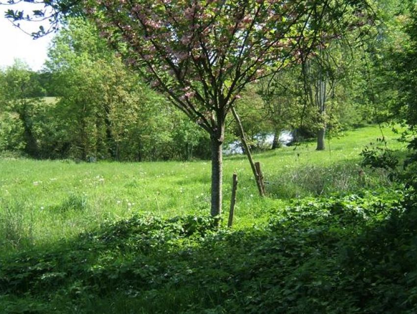 immobilier Sarthe (72):Région Juigné/Sarthe, Propriété rurale