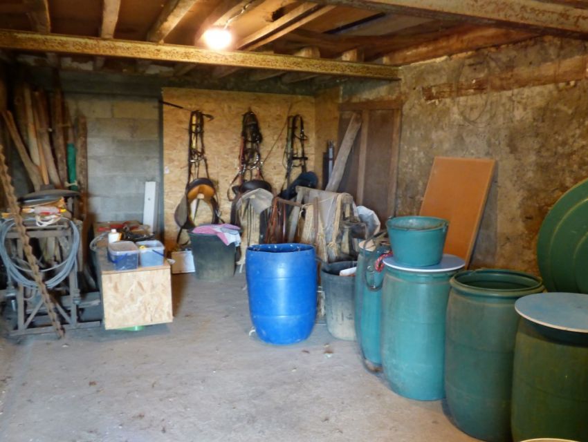 Sellerie 