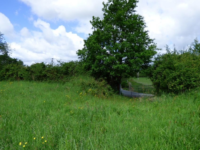 terrain-a-batir-secteur-sable-sur-sarthe-precigne-sarthe-72300