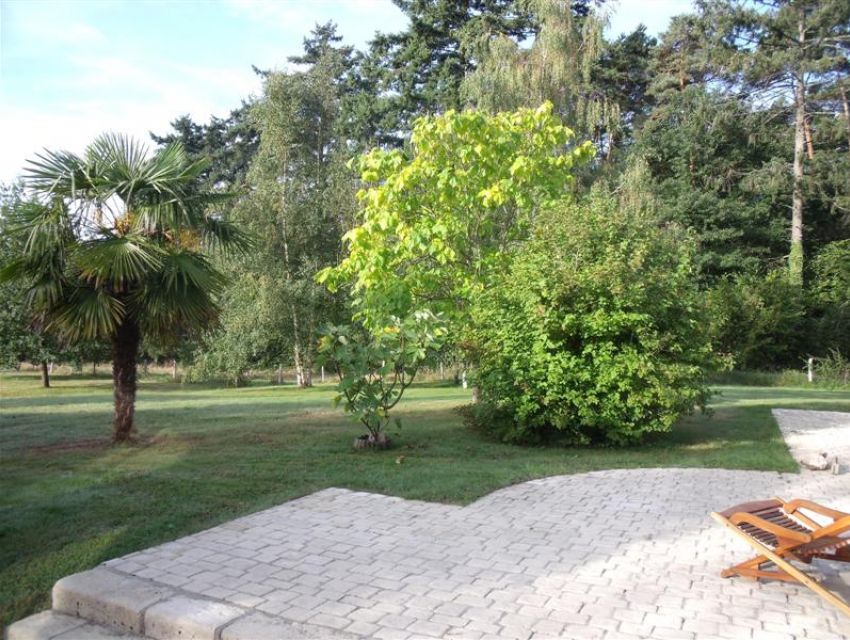 Terrasse avec vue dominante 